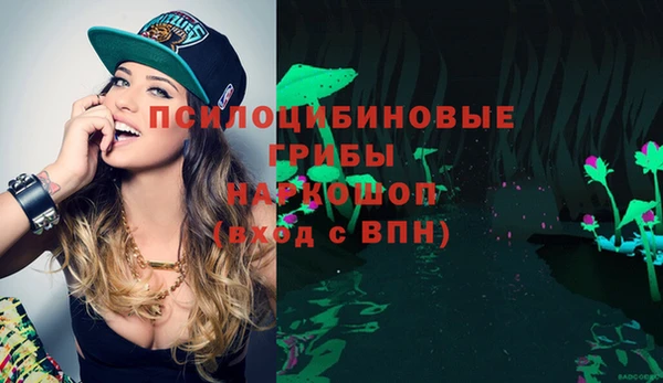 таблы Аркадак