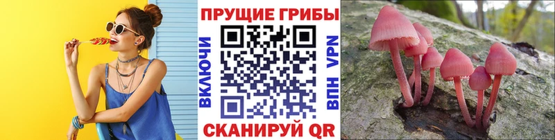 Псилоцибиновые грибы ЛСД  Купить закладки  Торопец 